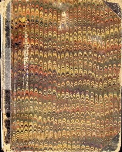 Dr. Hunt\'s County Hospital Death Records (MM-18-K)(1859-1899)