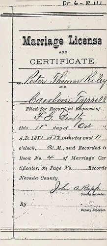 Click to see DR 6 R-111 of Marriage Certificates (DR 6 R)