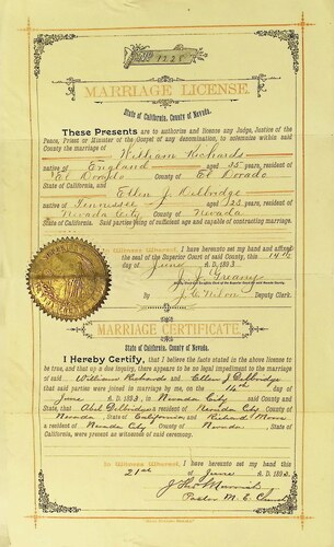 Click to see DR 6 R-113 of Marriage Certificates (DR 6 R)