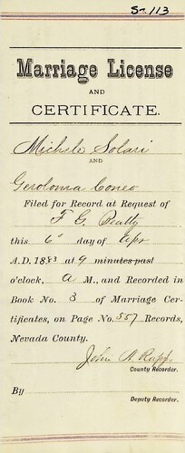 Click to see DR 6 S-113 of Marriage Certificates (DR 6 S)