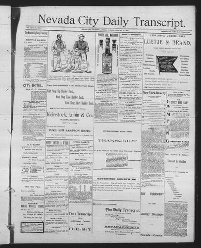 February 11, 1895