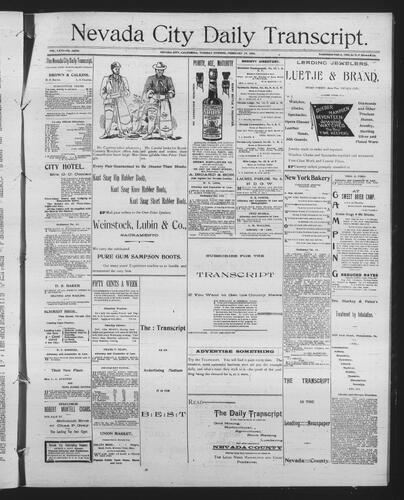 February 19, 1895