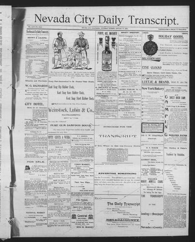 January 19, 1895
