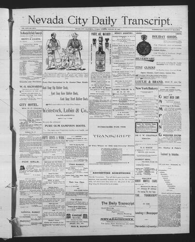 January 22, 1895