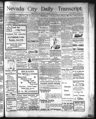 June 8, 1901