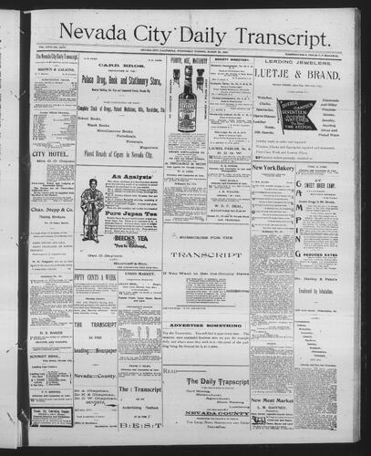 March 20, 1895
