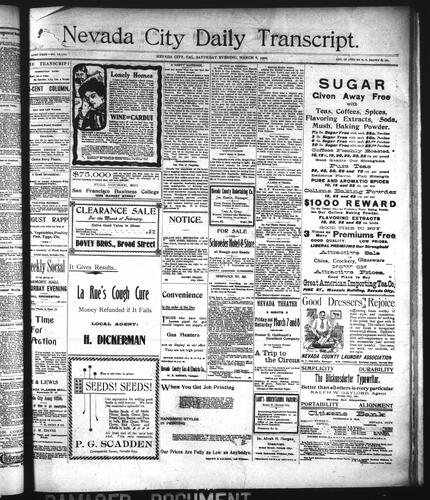 March 8, 1902