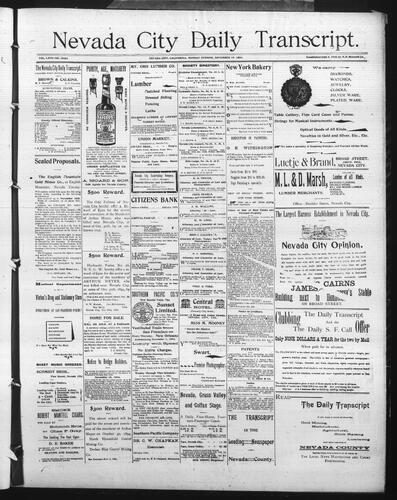 November 19, 1894