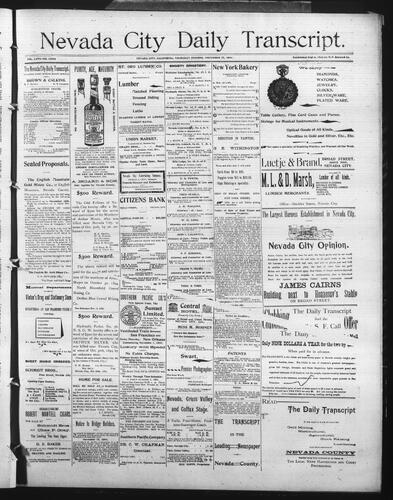 November 22, 1894