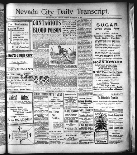 November 22, 1901