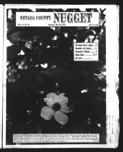 May 20, 1976