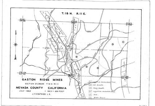 Click to see Gaston Ridge Mines, 1962 of Allan Beeson Survey Maps Book EL