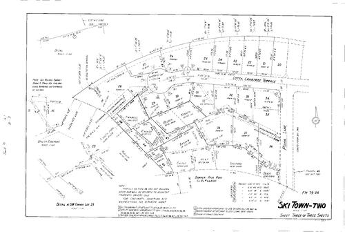 Click to see Subdivision Book 7, pg. 81 (1987) of Nevada County Recorders Subdivision Maps Book 7
