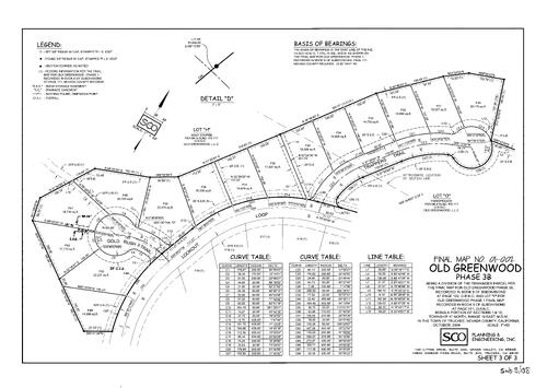 Click to see Subdivision Book 8, pg. 138 of Nevada County Recorders Subdivision Maps Book 8