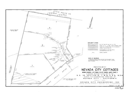 Click to see Subdivision Book 8, pg. 165 of Nevada County Recorders Subdivision Maps Book 8
