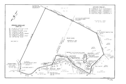 Click to see Record of Survey Book 12, pg. 196 (2000) of Nevada County Recorders Survey Maps Book 12