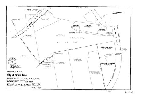 Click to see Record of Survey Book 12, pg. 317 (2002) of Nevada County Recorders Survey Maps Book 12