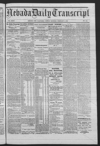 February 3, 1878
