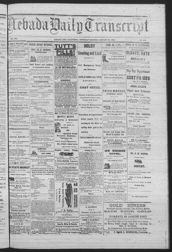 January 20, 1881