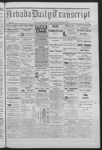 January 23, 1881