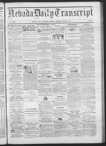 June 20, 1875