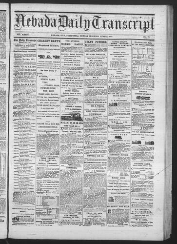June 3, 1877