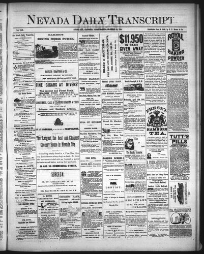 November 23, 1884