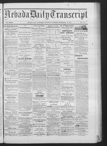 November 25, 1876