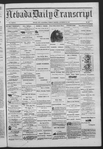 November 26, 1878