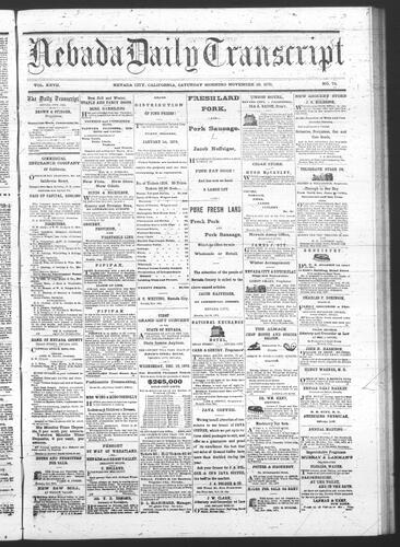November 29, 1873
