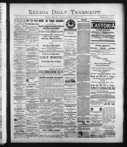 August 11, 1891