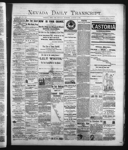 August 3, 1891
