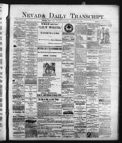 February 19, 1891