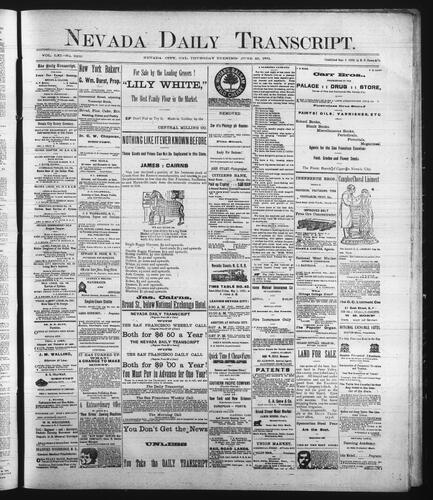 June 25, 1891