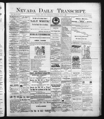 June 3, 1891