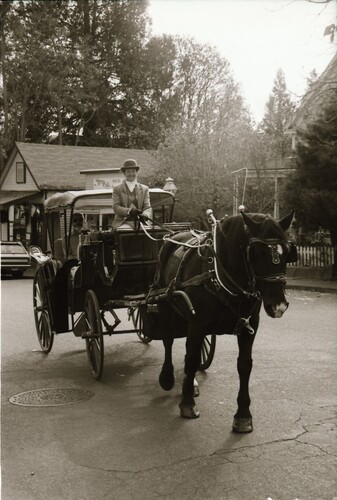 Click to see PIC 7-CARTER 82-4 of Carriage in Nevada City (PIC 7-CARTER 82)
