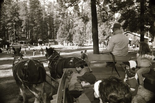 Click to see PIC 7-CARTER 69-6 of Christmas at the Nevada County Fairgrounds (PIC 7-CARTER 69)