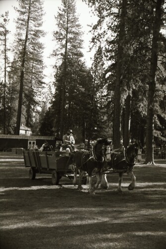 Click to see PIC 7-CARTER 69-9 of Christmas at the Nevada County Fairgrounds (PIC 7-CARTER 69)