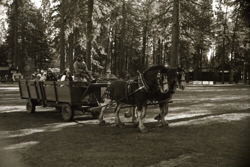 Click to see PIC 7-CARTER 69-10 of Christmas at the Nevada County Fairgrounds (PIC 7-CARTER 69)