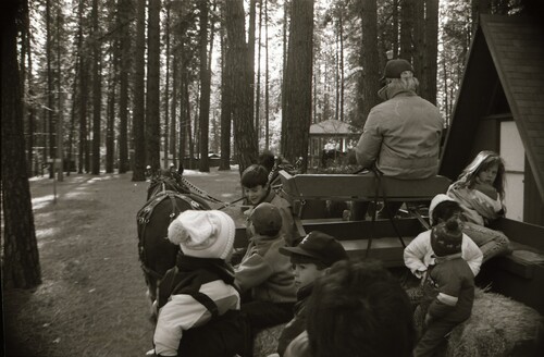 Click to see PIC 7-CARTER 69-14 of Christmas at the Nevada County Fairgrounds (PIC 7-CARTER 69)
