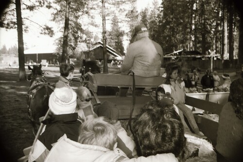 Click to see PIC 7-CARTER 69-17 of Christmas at the Nevada County Fairgrounds (PIC 7-CARTER 69)