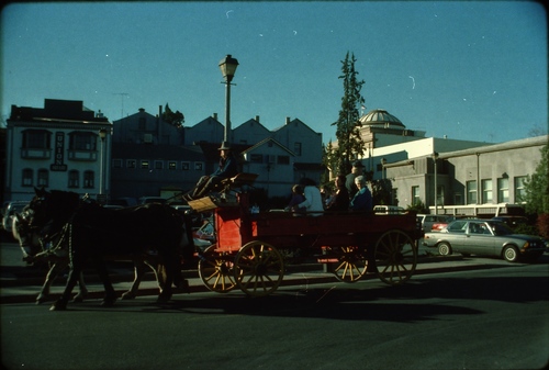 Click to see PIC 7-CARTER 19-1 of Christmas time in Grass Valley and Nevada City (PIC 7-CARTER 19)