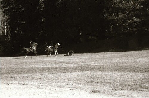 Click to see PIC 7-CARTER 49-36 of Civil War Battle Reenactment at Pioneer Park (PIC 7-CARTER 49)