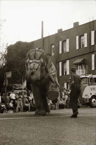 Click to see PIC 7-CARTER 57-23 of Constitution Day Parade (PIC 7-CARTER 57)