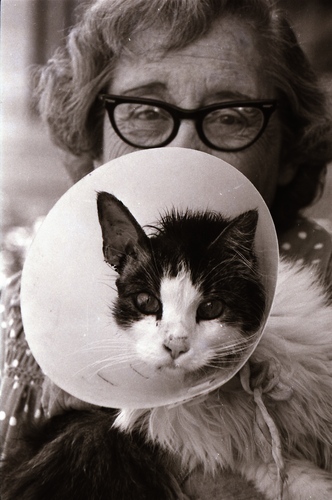 Click to see PIC 7-CARTER 7-3 of Dean Lawrence and Cats (PIC 7-CARTER 7)