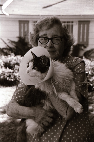 Click to see PIC 7-CARTER 7-4 of Dean Lawrence and Cats (PIC 7-CARTER 7)