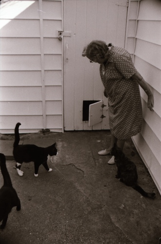 Click to see PIC 7-CARTER 7-5 of Dean Lawrence and Cats (PIC 7-CARTER 7)