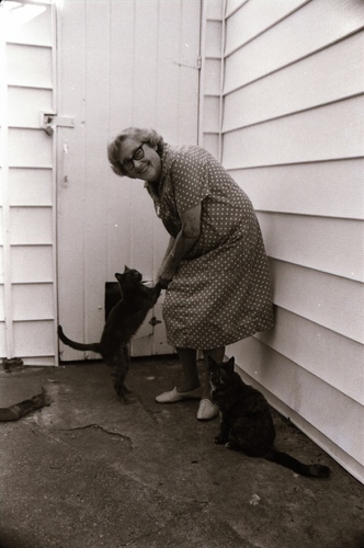 Click to see PIC 7-CARTER 7-7 of Dean Lawrence and Cats (PIC 7-CARTER 7)