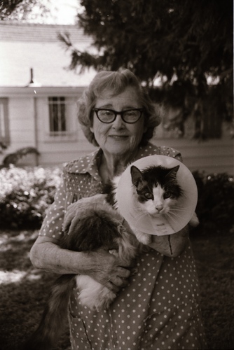 Click to view Dean Lawrence and Cats (PIC 7-CARTER 7) Dean Lawrence and Cats (PIC 7-CARTER 7)
