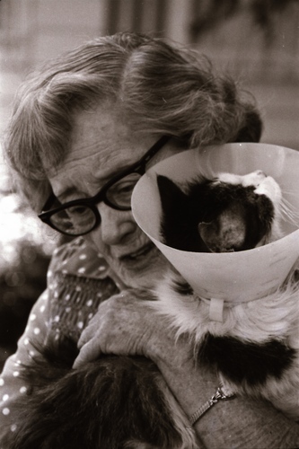 Click to see PIC 7-CARTER 7-9 of Dean Lawrence and Cats (PIC 7-CARTER 7)